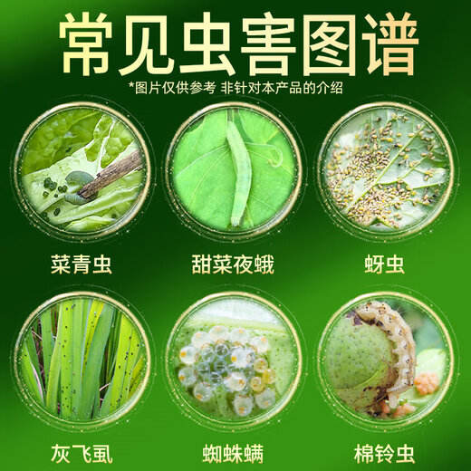 Hulian Plant Protection 10% clorantraniliprol, clorantraniliprol, pesticida barrenador del gusano cogollero del arroz de frutas y verduras, insecticida que mata huevos