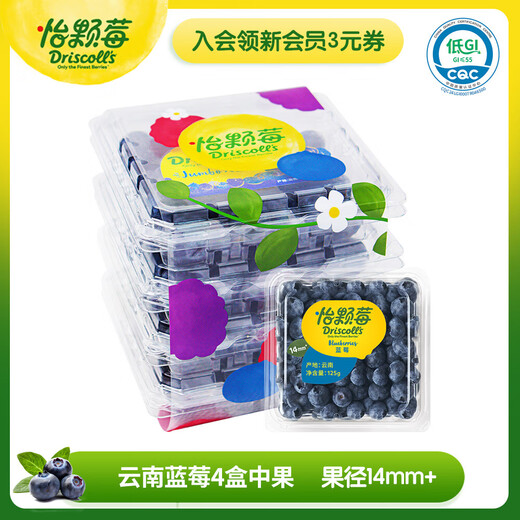 Driscoll s seasonal Yunnan blueberries 14mm+ 4 boxes 125g/box fresh fruit
