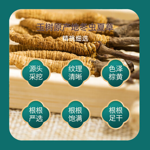 三江源冬虫夏草玉树野生虫草高海拔采挖虫草礼盒装 玉树冬虫夏草 12克30根