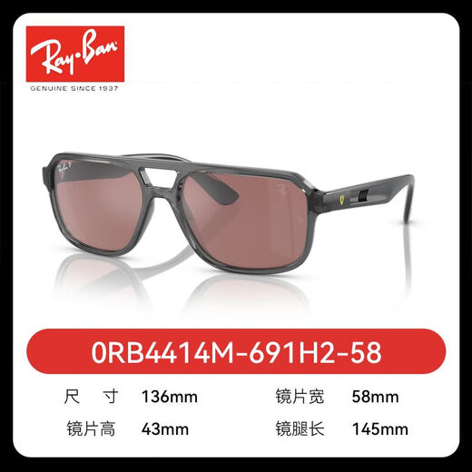 雷朋(RayBan)太阳镜 时尚高级潮流多边形双梁偏光墨镜0RB4414M 691H2 透明灰框紫偏光镜片 （4414）