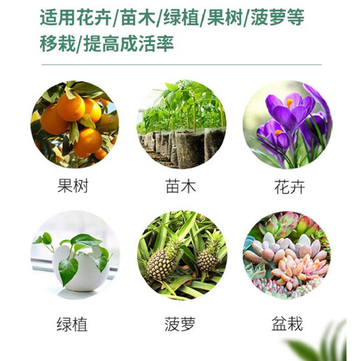 Senhuo Haobilin acetic acid rooting agent garden lawn rose nursery seedlings transplanting cuttings root strengthening liquid to prevent fruiting