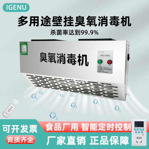 IGENU wall-mounted ozone generator industrial commercial disinfection machine food factory breeding farm garbage room laboratory hospital school canteen restaurant kitchen sterilization and odor removal 10g/h upgraded intelligent timing