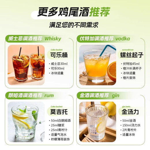 FAST.KING调酒基酒套装洋酒威士忌伏特加蓝橙力娇酒朗姆酒金酒鸡尾酒糖浆 【10款调酒基酒】+调酒工具