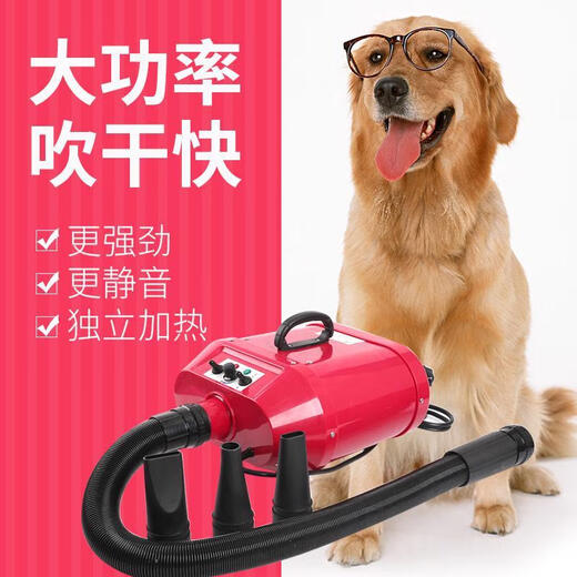 Chunzhou large dog pet store dedicated dog electric heating high-power double water blower golden retriever hair dryer Chunzhou A22 white adjustable temperature