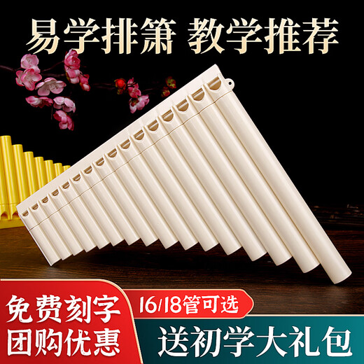 元族排箫乐器初学者排箫16管18管排笛C调学生级老师送教学 【刻字】18管蓝色+全套配件