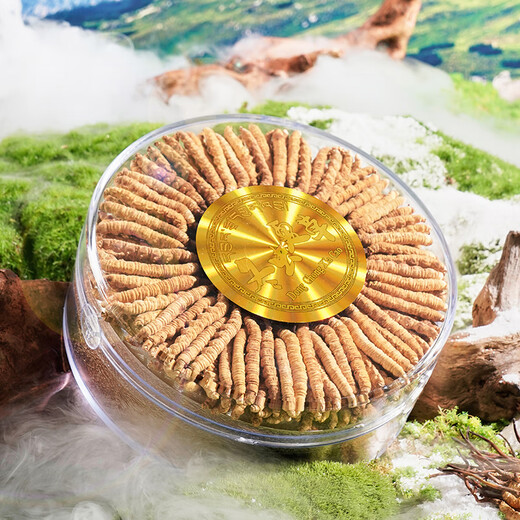 圣迪康藏冬虫夏草 新干虫草滋补送礼物佳品 送长辈礼品 营养品 3根/克  10克30根礼盒装
