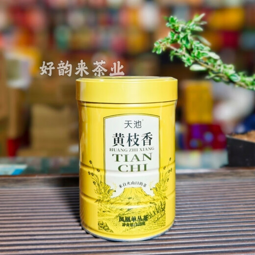 Tianchi 1392 Phoenix Dancong Qingshan Series Wudang Dancong Huangzhixiang Honey Orchid Fragrance Spring Tea 125g Honey Orchid Fragrance Qingshan Series