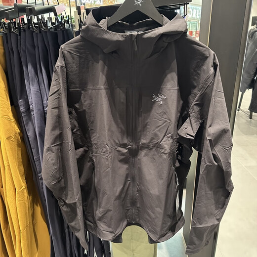 始祖鸟（ARC'TERYX）男款 GAMMA LIGHTWEIGHT 轻薄 软壳夹克 连帽/啄石蓝/Stone Wash/X9196 L (国现沈阳速发)