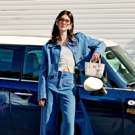 纽芝兰（NUCELLE）沈月同款飞马mini托特包2025单肩斜挎菜篮子手提包圣诞生日礼物女