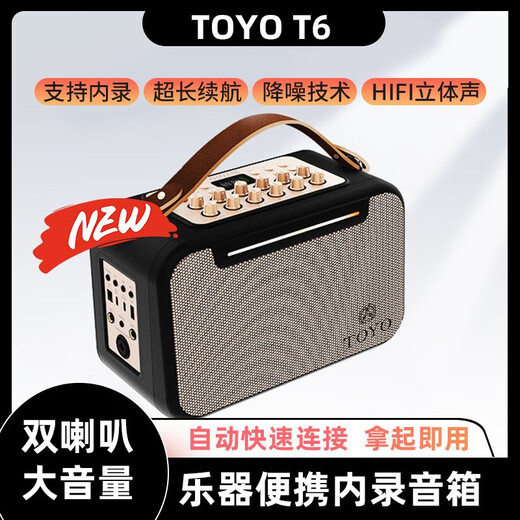 TOYO T6 musical instrument guitar audio playing and singing karaoke internal recording box electric blowpipe saxophone Bluetooth live broadcast customized model blue + bag + microphone