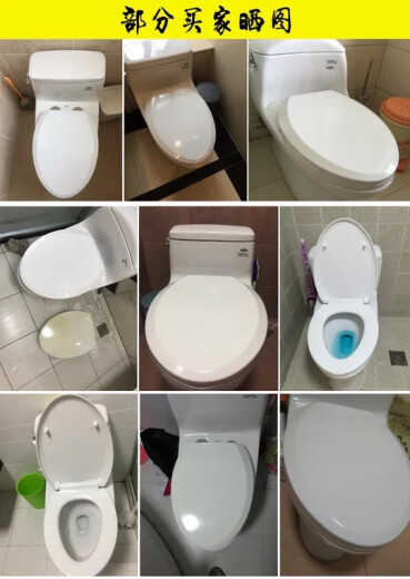Toto Adaptive Wathing Cover CW886 854 864 874 894 870 844 804 Tapa del inodoro Relojo Adaptable 394 Urea Formaldehyde alto