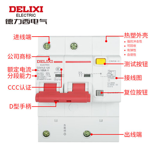 DELIXI Electric leakage protector DZ47LE-125 2P D100 2-phase 100A rated current 220V large current leakage protection air switch