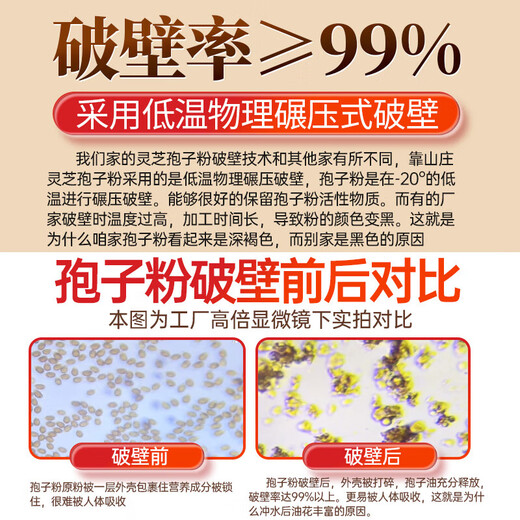 Koushan Villa Bio-Bruch-Wand Ganoderma lucidum spore pulver blau hut Gesundheitsprodukte Verbesserte Immunität Ernährungsprodukte Tonic 100g*5 Flaschen