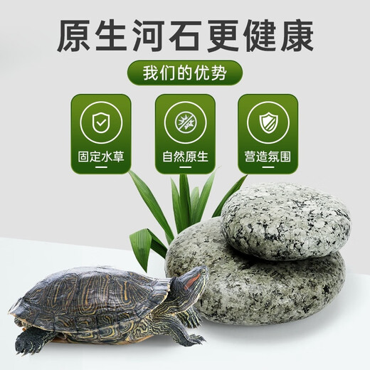 Runhuanian turtle basking platform stone climbing platform flat pebble turtle tank floating island basking stone fish tank 2 pieces 5-7cm