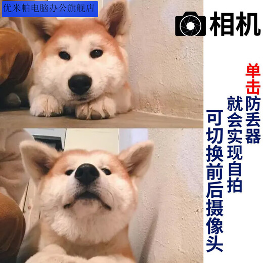 优米帕宠物定位器狗狗防丢器导航神器定位项圈防水猫咪位置追踪定位 精准定位+录音拍摄 多功能定位器