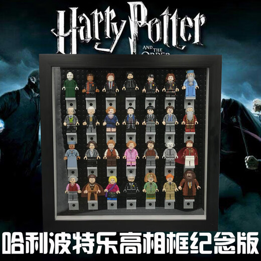 Ukan compatible LEGO Chinese building blocks Harry Potter new style Voldemort magical excitement full set of Philosopher's Stone Small Purple WM689-Harry Potter