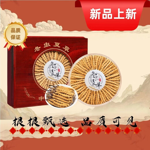 Selected authentic snow mountain cordyceps sinensis genuine first-stage fresh cordyceps 50g gift box for 4 pieces/gram dry goods 50 pieces of Cordyceps in Tibet 4 pieces/gram