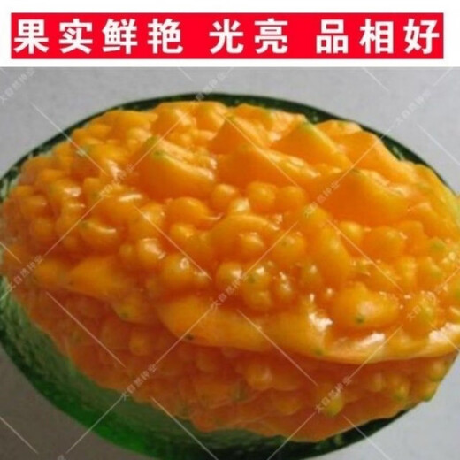 Small Seed Melon Seeds, Fruit Lai Grapes, Ley Grapes, Golden Lingzi Small Ley Melons, Small Seed Melon Seeds, 20 capsules, free organic fertilizer