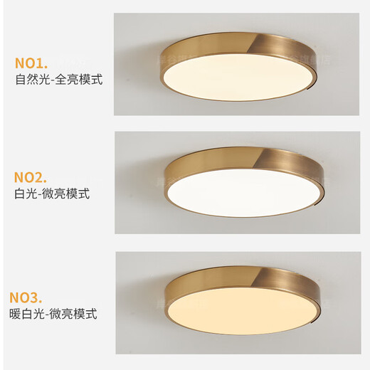 耐用别墅大门口吸顶灯防水防虫入户进门灯室外门前全铜户外阳 新X3890-大号51CM/三色可调