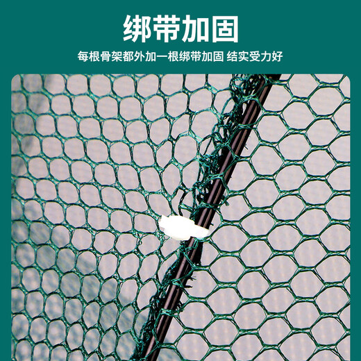 Renniaofei Fishing Net Shrimp Cage Fishing Cage Artifact Automatic Folding Eel Cage Shrimp Net Tools Fishing Gear Fish Cage Net Cage Cage