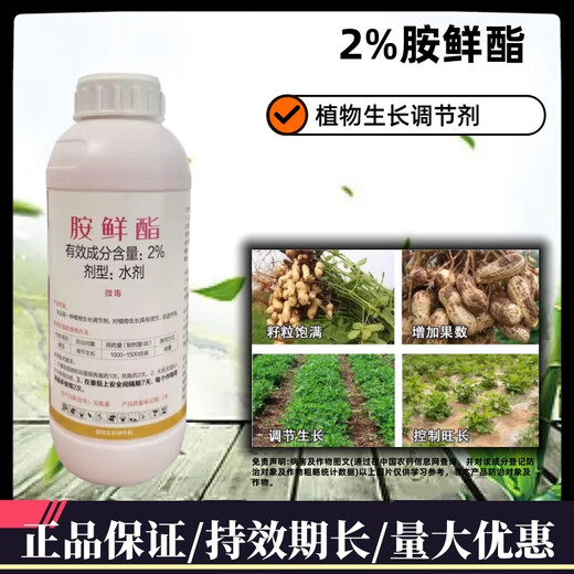 2% amine fresh ester preserves flowers, preserves fruits, increases production, antidotes rooting and strong seedlings, vegetable and flower growth regulator 500g