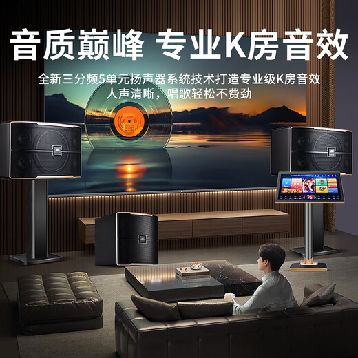JBL national subsidy Pasion8 professional home ktv audio set theater home karaoke speaker karaoke singing complete set of equipment ktv equipment complete set