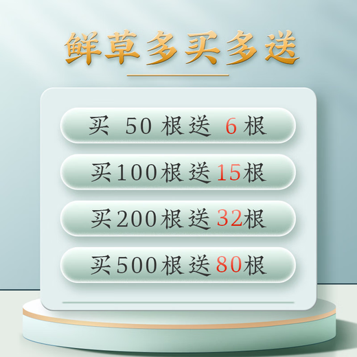 
2025 Fresh Cordyceps Authentic First-Stage Fresh Cordyceps 1.2g/root of genuine fresh grass for gift supplements 0.8-1.0g/root [Cryo-save] 10 fresh Cordyceps