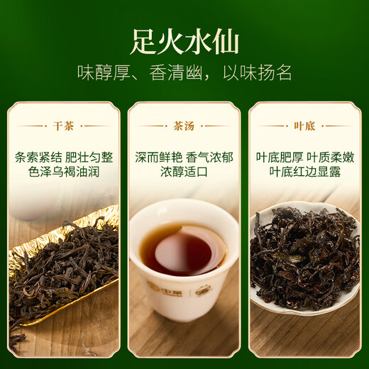 Seawall Wuyi Mountain Oolong Tea Rock Tea Old Croissus Narcissus Tea Dahongpao Classic Overseas Sales Export Tea [TOP1] Classic Yellow Can 125g*1 Can