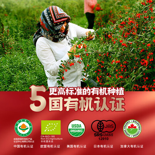 雷允上青海高端特优级有机枸杞105g无硫无熏独立袋装面洗泡水泡茶 特优级105g【嚼着吃的好枸杞】