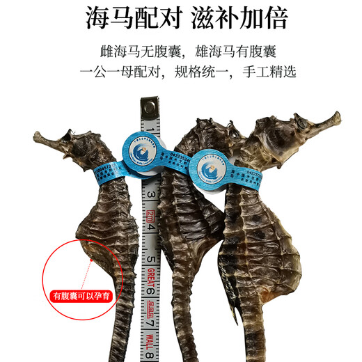 海马药材一公一母大型海马干泡酒组合六角海龙海麻雀滋补汤料礼盒 1对2克（公母2只9-11cm）