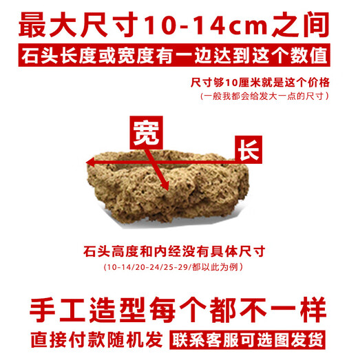 Stone flowerpot absorbent stone water stone original stone natural flowerpot with asparagus bamboo and calamus succulent plant micro landscape pot 13-17cm stone pot + tiger beard calamus package 2