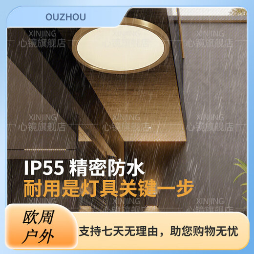 心镜全铜户外吸顶灯别墅大门口超薄门前灯室外过道阳台灯防蚊虫庭 X3893-800/方形