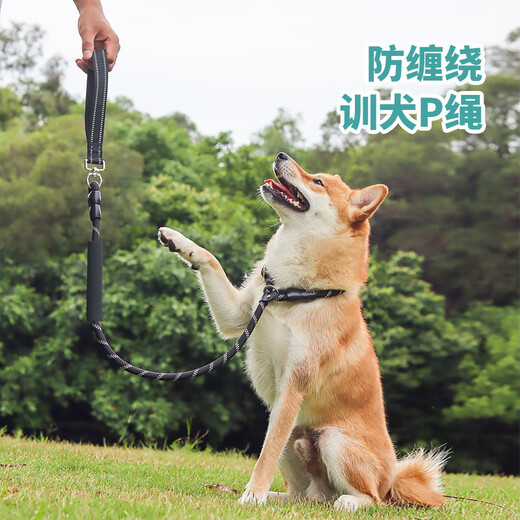 Spico dog leash training dog p chain explosion-proof and anti-knot dog walking rope p rope medium and large dog all-in-one dog leash golden retriever rotating handle 1.8 meters reflective double grip P chain black M (rope thickness 10mm, recommended weight 10-40Jin Jin equals 0.5kg)