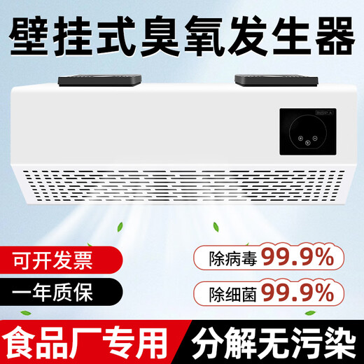 Fenrui wall-mounted ozone sterilizer food factory workshop ozone generator sterilization and deodorization garbage room air purification 20G/h remote control intelligent timing wall-mounted ozone sterilizer food factory/garbage room/canteen/raw material warehouse