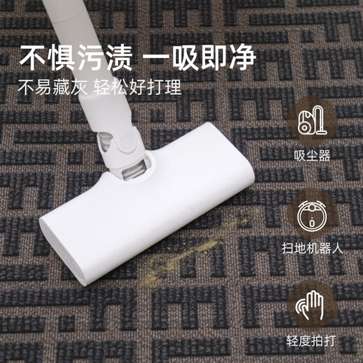 织梦行云轻奢高级感入户门地垫入户2025新款进门大门口防滑加厚地毯家用耐 丹瑶-16859 140cm*200cm【加厚升级 品质保证
