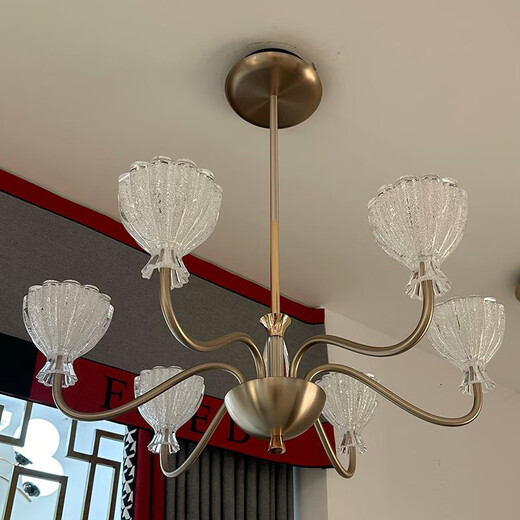 Opp Lighting (OPPLE) 2025 latest past lighting 9227 high-end solid modern living room dining room chandeliers minimalist aluminum warm lights living room 12 heads three-color unlimited remote control
