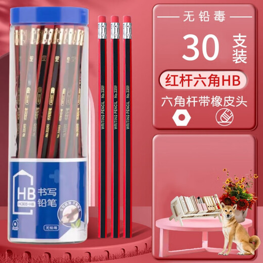 派钦园一二年级绘图无铅毒铅笔儿童小学生书写考试用HB铅笔 【HB铅笔】书写考试  LZXCV12357 100支+送削笔机1个