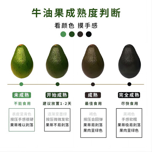 Beijing Fresh, imported avocado from Peru, 6 large fruits (not ready to eat) single fruit weigh 130g, fresh fruit