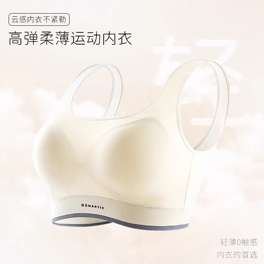 雅鹿运动内衣女夏大胸显小聚拢背心收副乳跑步防震健身美背瑜伽文胸罩 暮色黑 均码 （80-135斤/A-C杯）