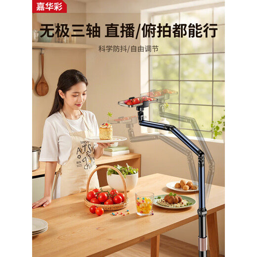 Jiahuacai Live Broadcast Mobile Phone Special Bracket Floor-standing Overhead Photography Mobile Phone Stand Mirror Live Broadcast Stand with Radiator Multi-function 1.7m double-arm mobile phone model