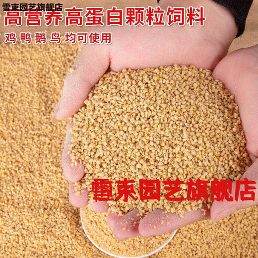 Snow beam chicken feed full price material 5 Jin Jin is equal to 0.5 kg Broiler feed 20 Jin Jin is equal to 0.5 kg Chick feed large chicken pellet material Goose lays eggs Chicken feed 5 Jin Jin is equal to 0.5 kg Simple packaging