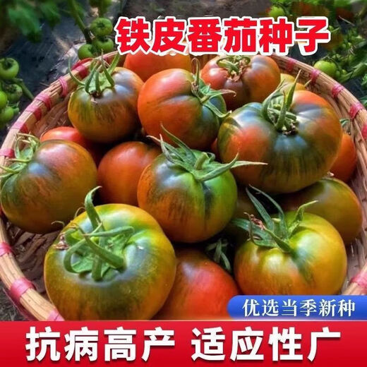 Local large tomato seeds, high yield, super sweet, large red fruit, large tomato seeds, high temperature vegetable melon and fruit seeds, strawberry tin tomatoes, about 400 capsules 1 pack