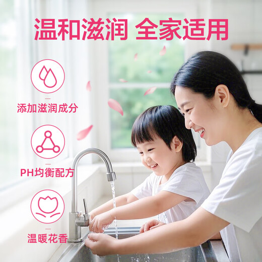 Dettol Healthy Antibacterial Hand Sanitizer Moisturizing and Protecting 500g Disinfection and Antibacterial 99.99% Suitable for Children No Alcohol