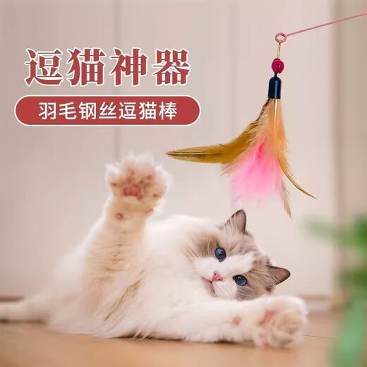 New cat toys, cat sticks, long rods, feathers with bells, cat toys, pet cat sticks to relieve bored cats, 1 replacement head