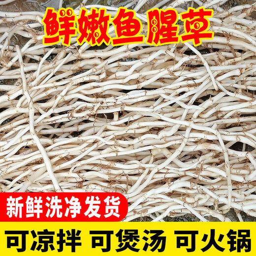 Fresh Houttuynia cordata, farm-grown and dug pig nostril root, local specialty vegetables mixed with coriander, ready to eat 2Jin Jin is equal to 0.5kg, freshly dug