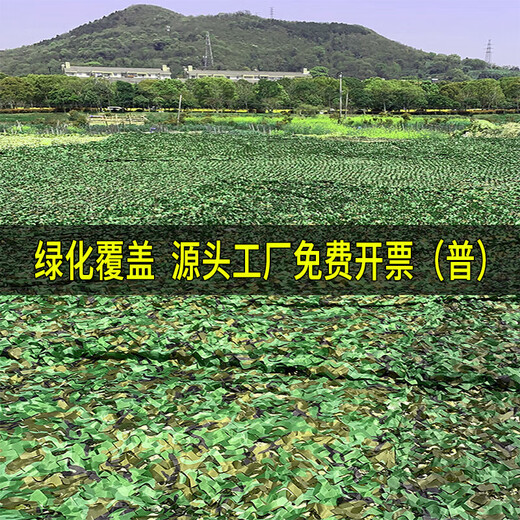 Lona de camuflaje Red de camuflaje Cubierta de protección solar verde Sombreado Red de sombrilla de camuflaje al aire libre Red verde Cobertura de fotografía antiaérea Refuerzo de doble capa recomendado 3 metros x 6 metros