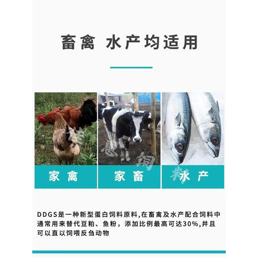 Distillers grains, corn, alcohol grains, distiller's grains, distiller's grains, DDGS, small yellow noodle feed ingredients, nest materials, nest making fish bait, corn distillers grains 10Jin, Jin is equal to 0.5 kilograms