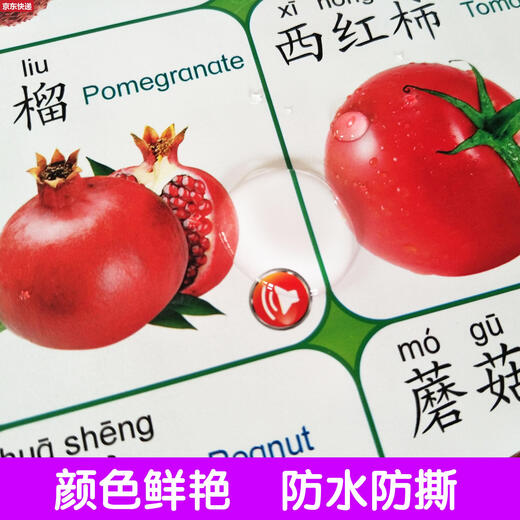 两雪有声挂图拼音儿童启蒙早教认知发声墙贴宝宝语音识字卡0-6岁玩具 桔红色