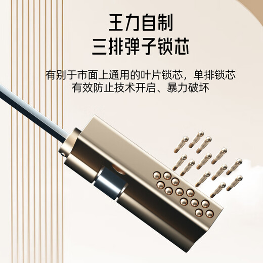 WL Wangli Level 4 Neue Anti-Diebstahl-Tür Haushalt Eingangstür Smart Mothertor Einheitstür Haupttor P701 [2.0] Vollautomatisches intelligentes intelligentes Schloss (P50Lite) Eingangstür 1970/2050*850/950