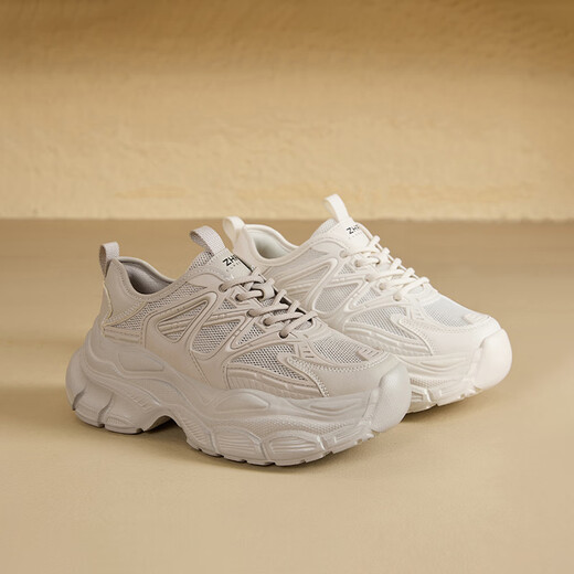 Zhr Dad Chaussures pour femmes en été Mesh Casual Chaussures pour les femmes Sole des chaussures de sport légères G761E Gray 35